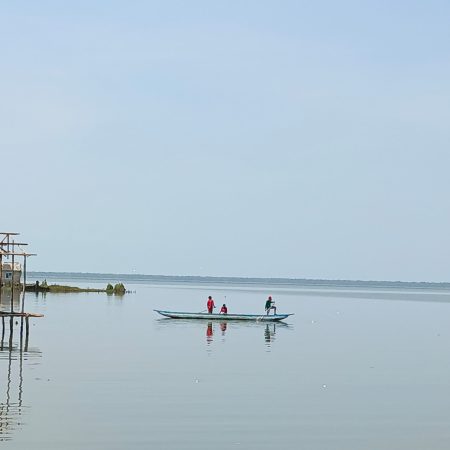 IMG-20240506-WA0005